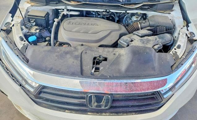 2024 HONDA ODYSSEY EXL 12
