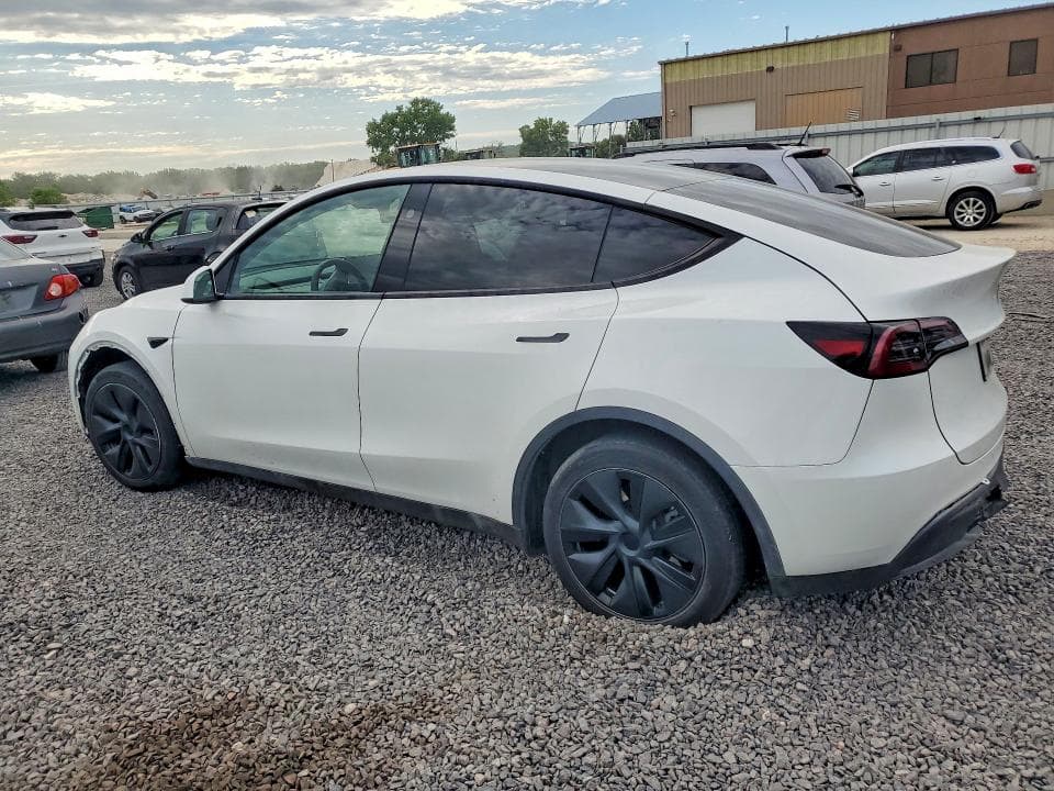 2024 TESLA MDL Y 2