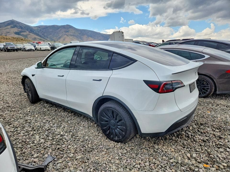 2024 TESLA MODEL Y 2