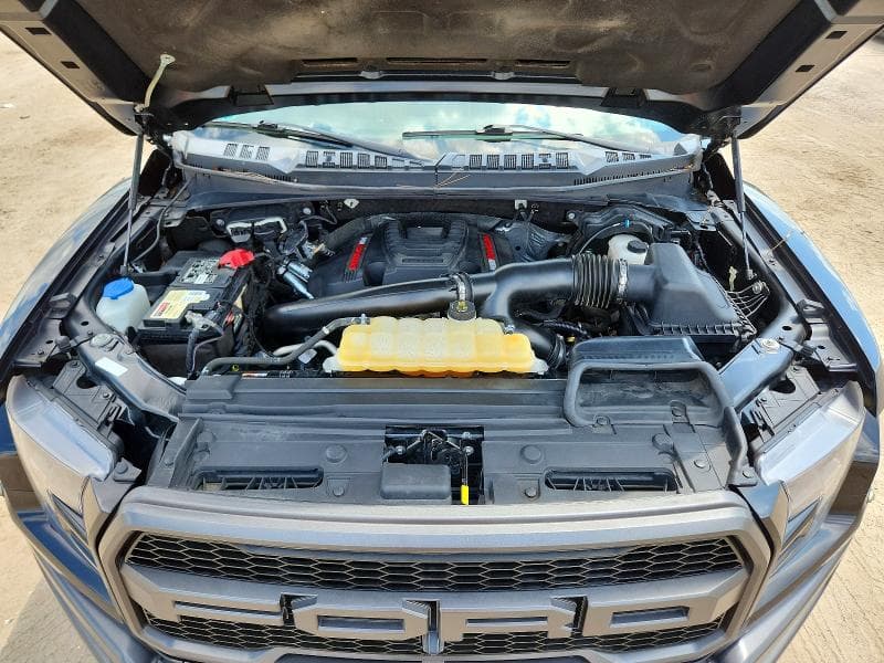 2019 FORD F150 RAPTOR 11