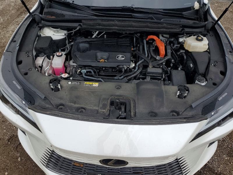 2024 LEXUS RX 350H PREMIUM 12