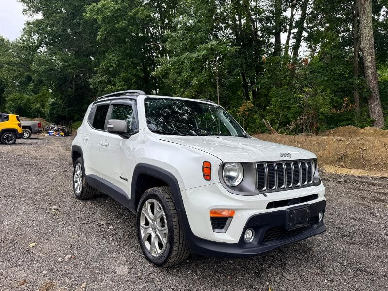 2019 JEEP RENEGADE LIMITED - 1