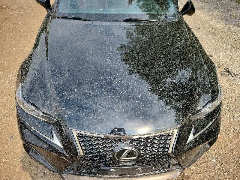 2018 LEXUS IS 300 11
