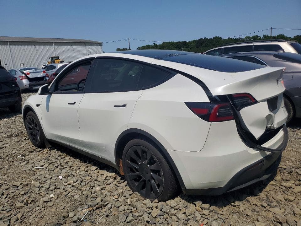 2023 TESLA MODEL Y 2