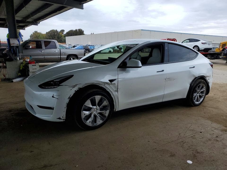 2023 TESLA MODEL Y - 1