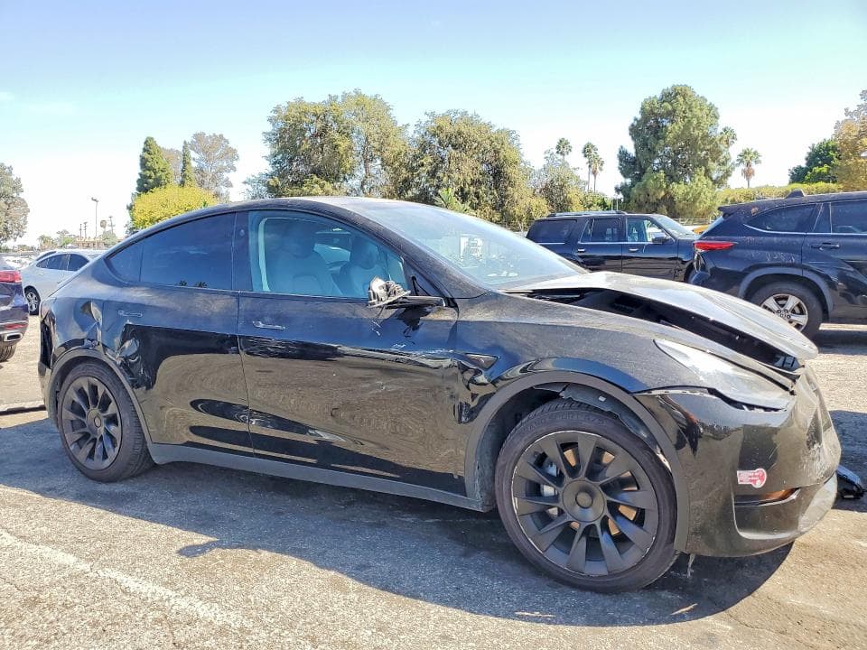 2024 TESLA MODEL Y 4