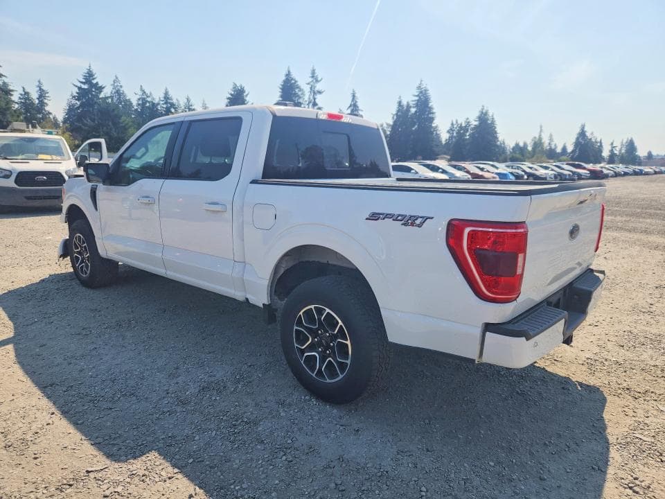 2023 FORD F150 SUPERCREW 2