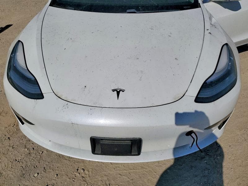 2019 TESLA MODEL 3 11