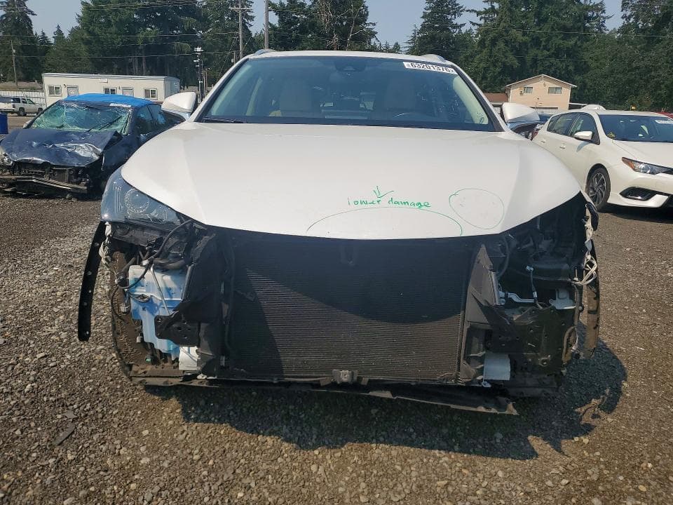 2020 LEXUS NX 300 5