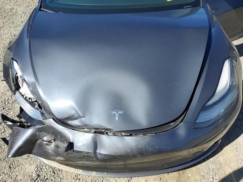 2019 TESLA MODEL 3 11