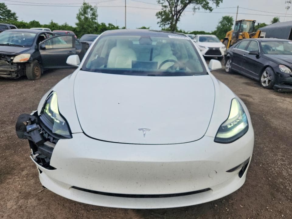 2019 TESLA MODEL 3 5