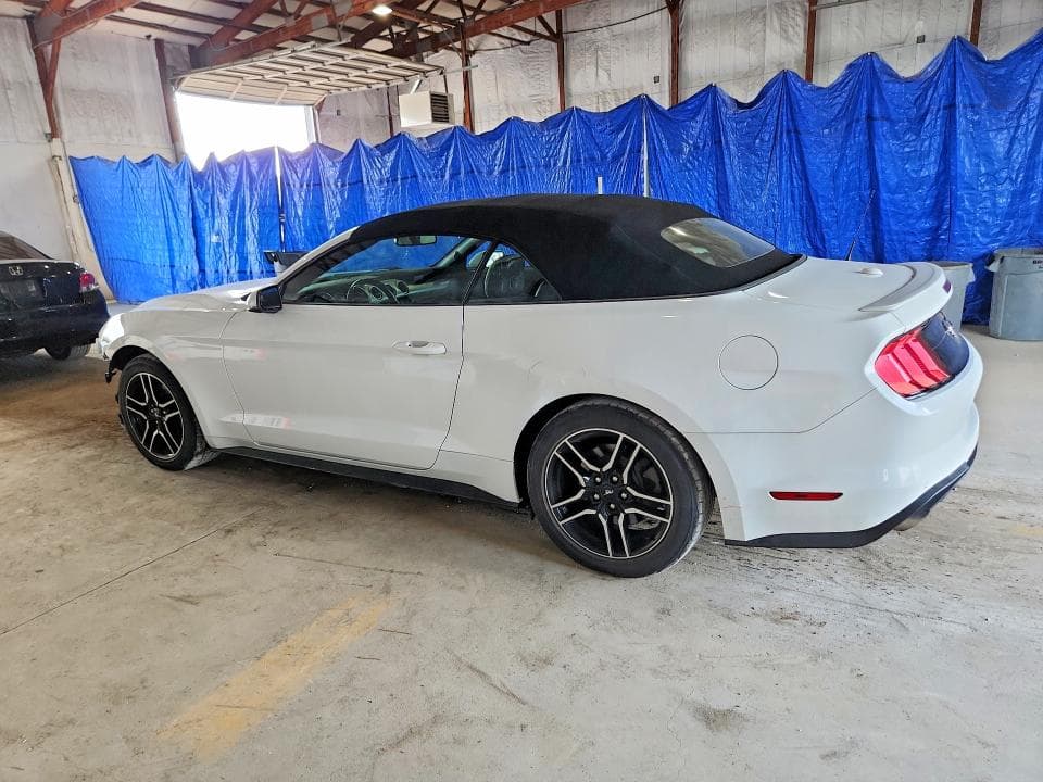 2019 FORD MUSTANG 2