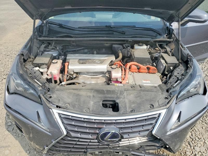 2020 LEXUS NX 300H LUXURY 12
