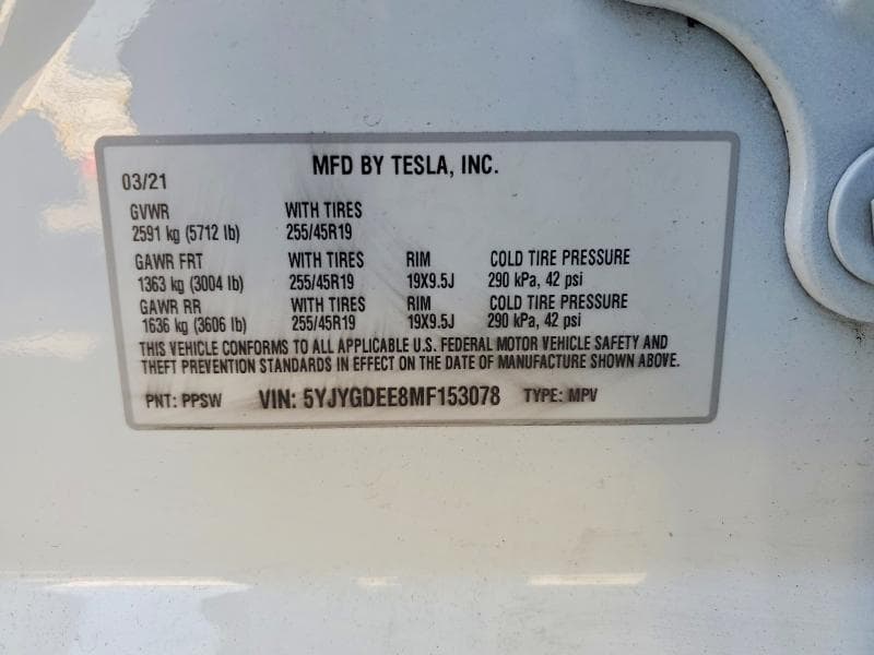 2021 TESLA MODEL Y 12