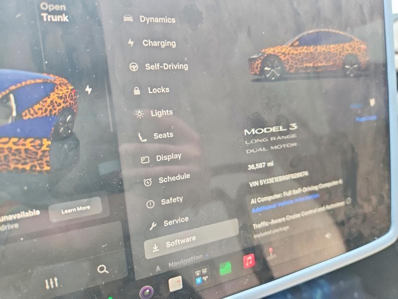 2025 TESLA MODEL 3 9