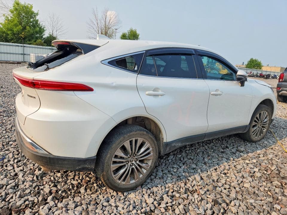 2024 TOYOTA VENZA LIMITED 3
