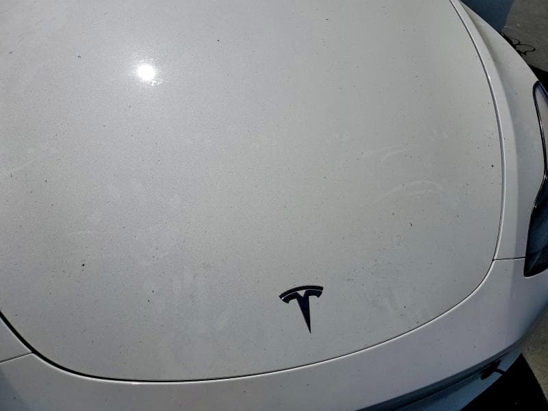 2023 TESLA MODEL Y 11