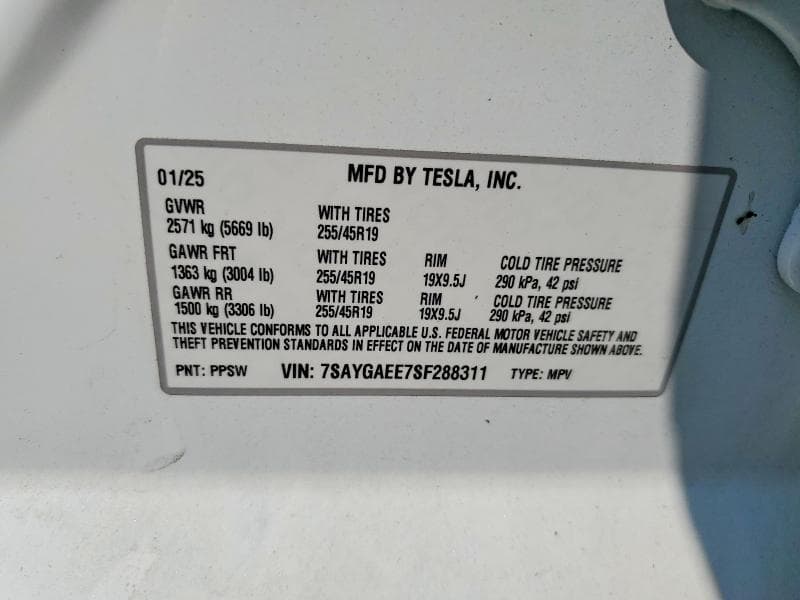 2025 TESLA MODEL Y 12