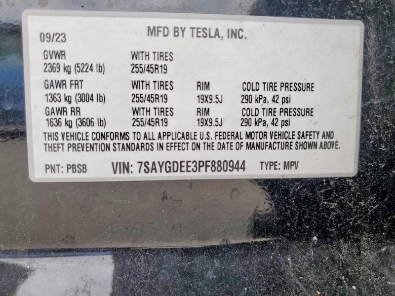 2023 TESLA MODEL Y 13