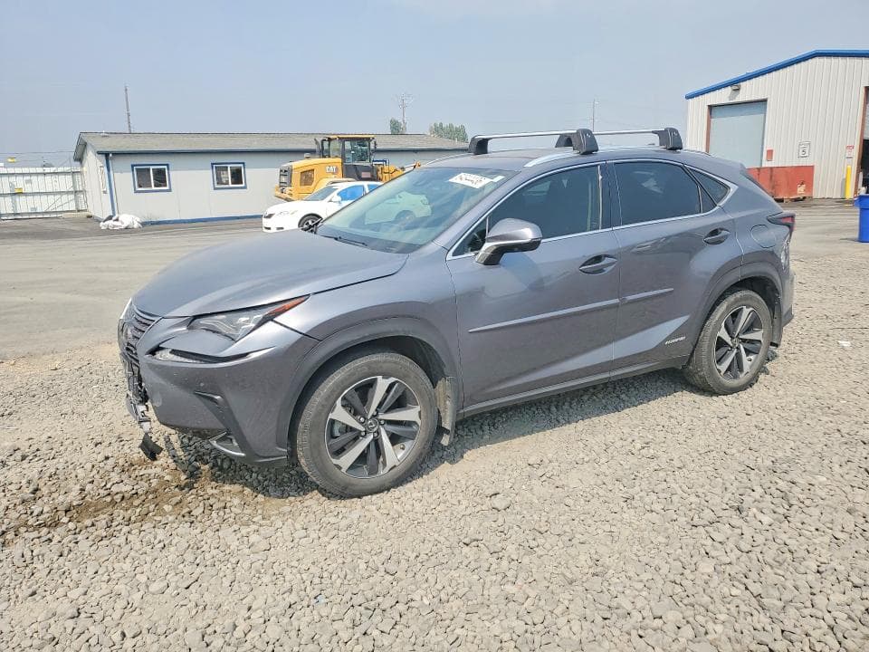 2020 LEXUS NX 300H LUXURY - 1