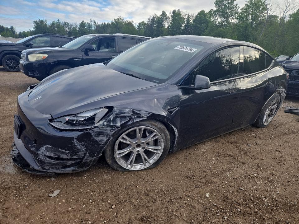 2024 TESLA MODEL Y - 1