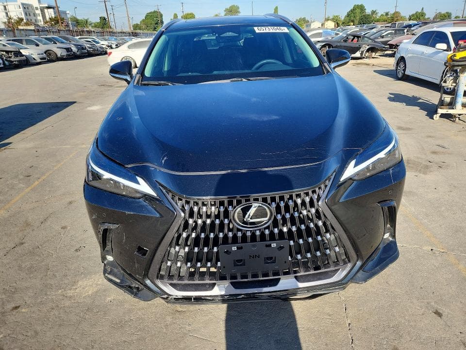 2024 LEXUS NX 250 PREMIUM 5