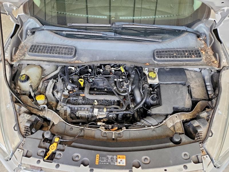 2017 FORD ESCAPE SE 12
