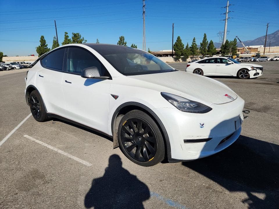 2023 TESLA MODEL Y 4