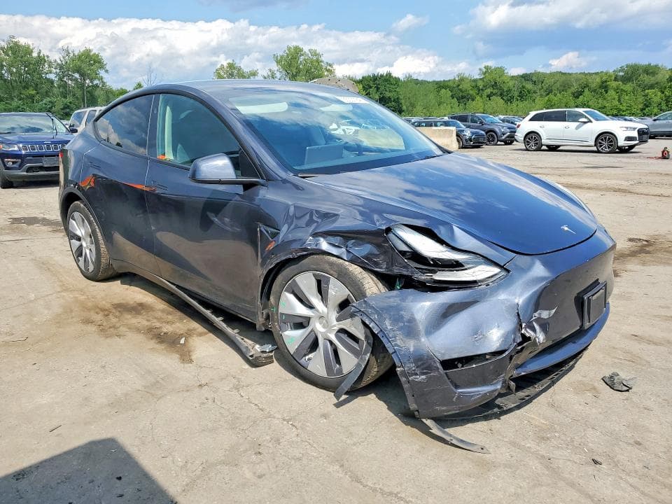 2024 TESLA MODEL Y 4