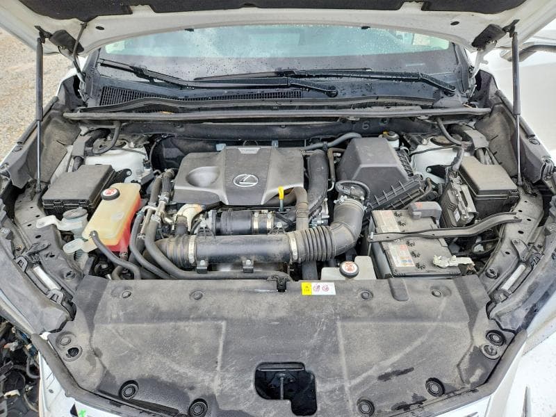 2019 LEXUS NX 300 BASE 11