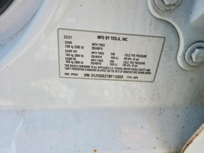 2021 TESLA MODEL Y 12
