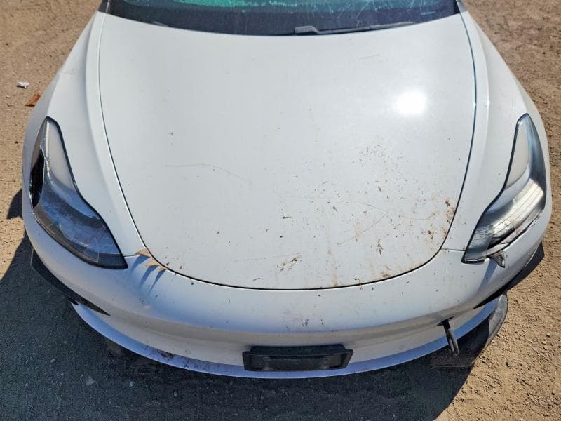 2019 TESLA MODEL 3 11