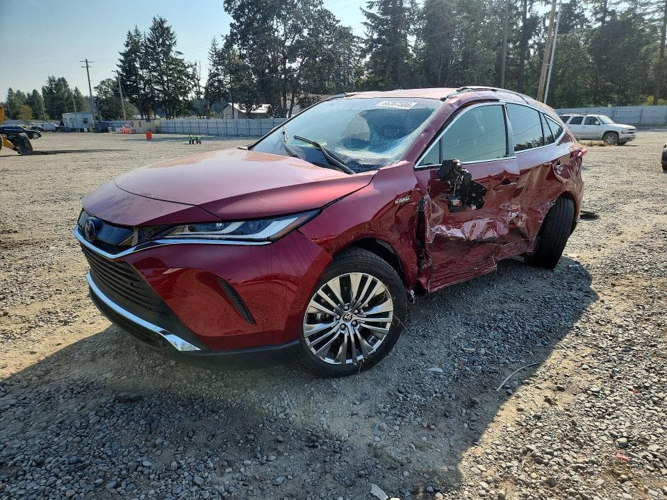 2021 TOYOTA VENZA XLE