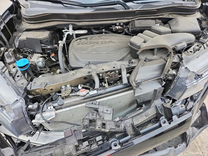 2025 HONDA PASSPORT TRAIL SPORT 12