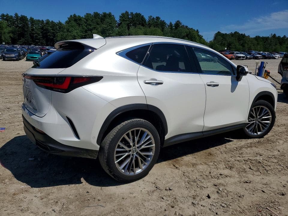 2024 LEXUS NX 350H LUXURY 3