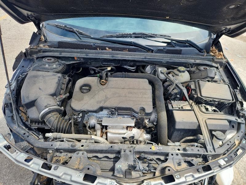2019 CHEVROLET MALIBU LS 11
