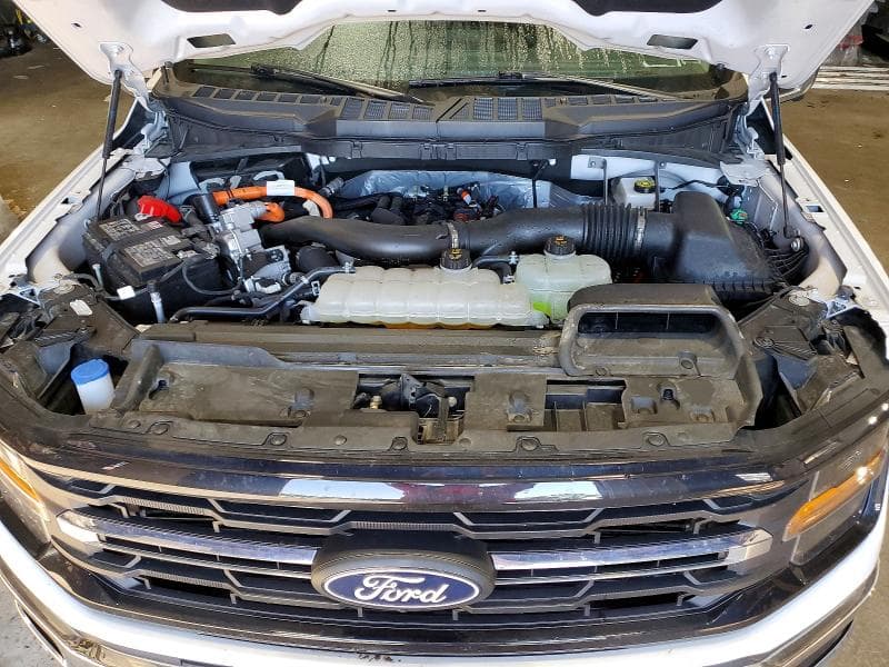 2025 FORD F150 XLT 11