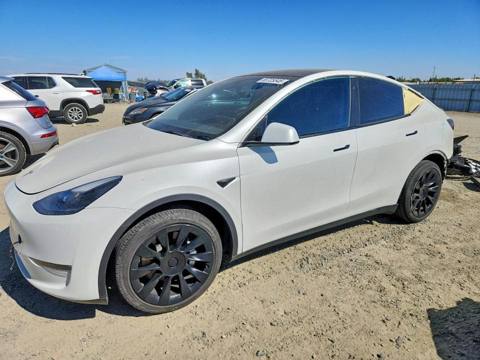 2023 TESLA MODEL Y - 1