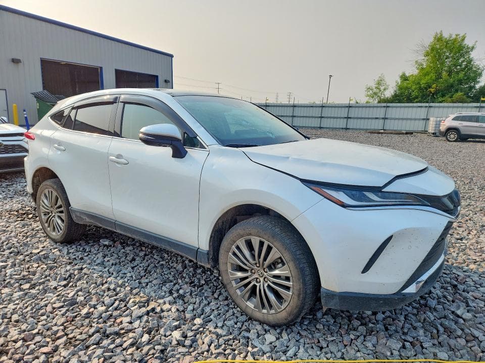 2024 TOYOTA VENZA LIMITED 4