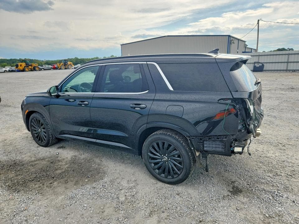 2024 HYUNDAI PALISADE CALLIGRAPHY NIGHT EDITION 2