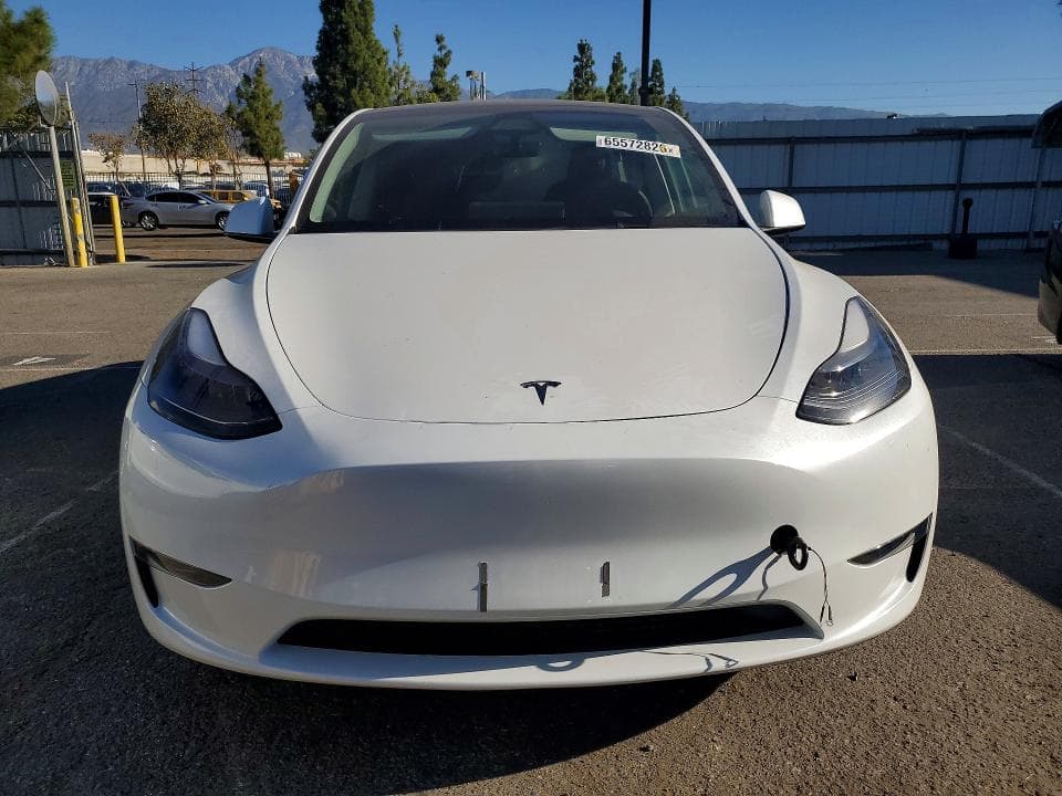 2024 TESLA MODEL Y 5