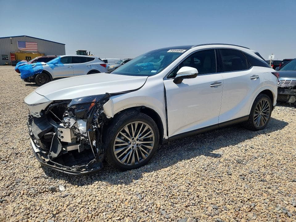 2025 LEXUS RX 350 LUXURY - 1