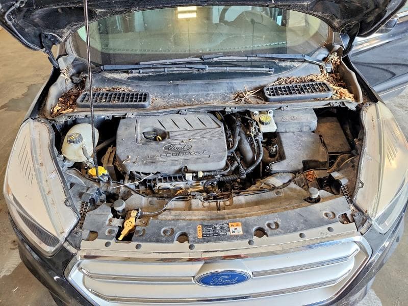 2018 FORD ESCAPE SE 12