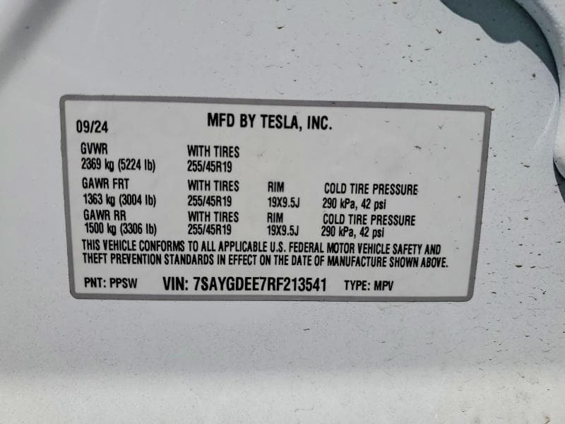 2024 TESLA MODEL Y 13