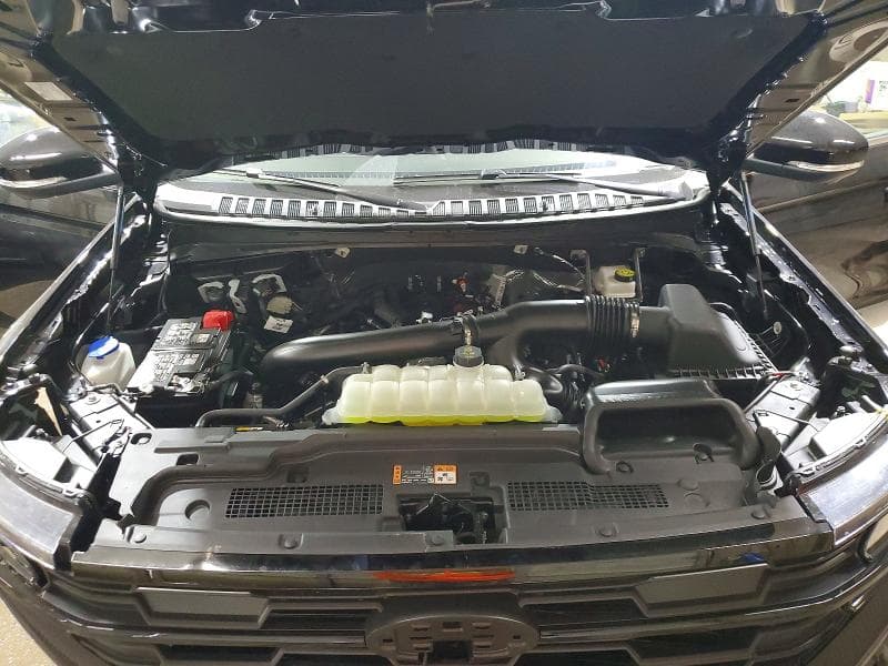 2025 FORD EXPEDITION ACTIVE 12