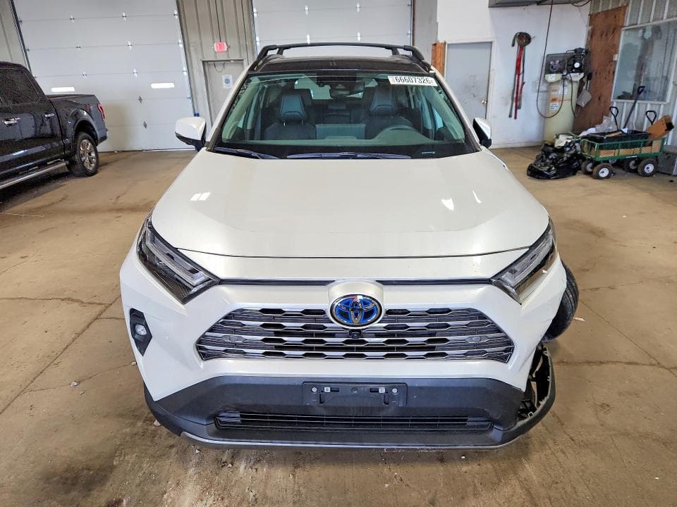 2024 TOYOTA RAV4 LIMITED 5