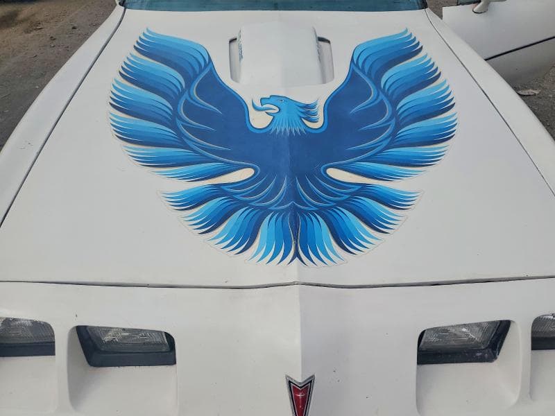 1979 PONTIAC OTHER 11