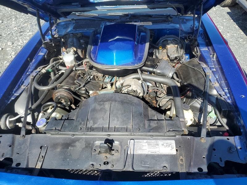 1978 PONTIAC TRANS AM 11