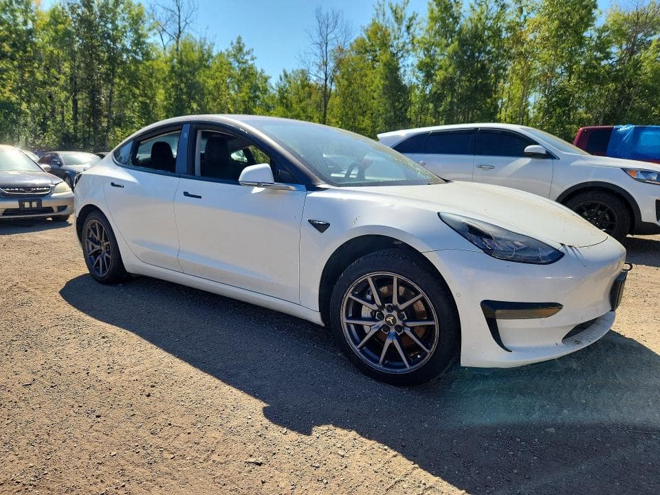 2019 TESLA MODEL 3 4