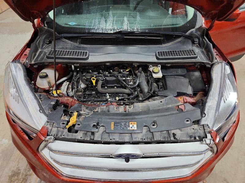2019 FORD ESCAPE 12